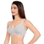 Sakhi grey