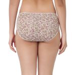 7299 - Cotton Hipster Premium Panties Set Of 5 Stretchable Fabric - Image 3