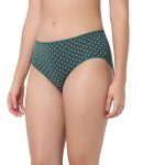 7303 - Cotton Hipster Premium Panties Set Of 5 Stretchable Fabric - Image 4